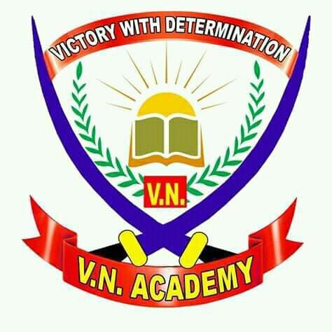 V N Academy